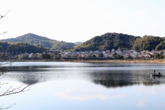 散歩中