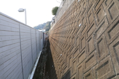 散歩中の　　隙間