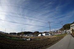 散歩中