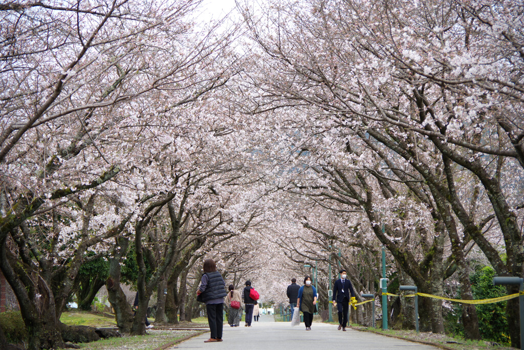 鏡野公園