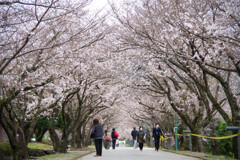鏡野公園