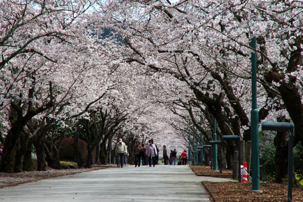鏡野公園