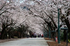 鏡野公園