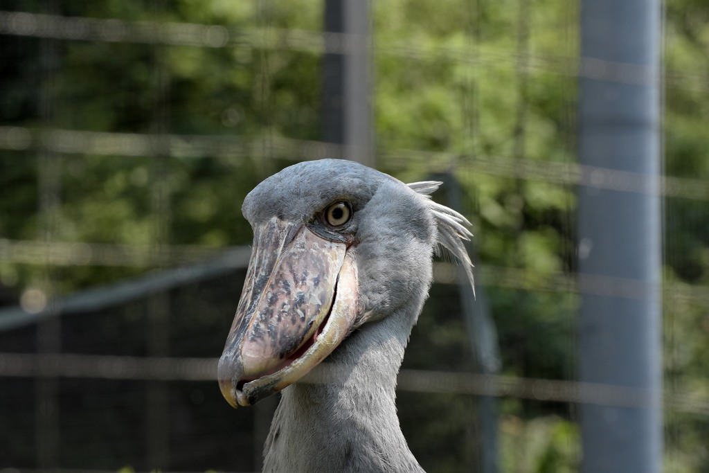 のいち動物公園