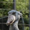 のいち動物公園