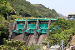 杉田ダム　人混みを避けて　IMG_3151