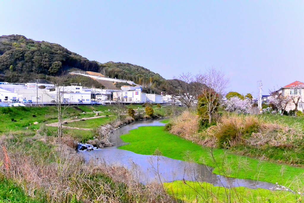 介良川親水公園