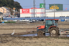 散歩中の　　田植えの準備