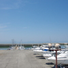 新居浜マリンパーク