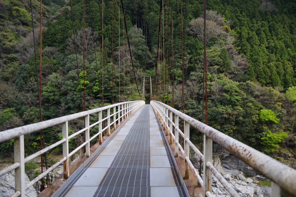 吉野川　小歩危　IMGP0947