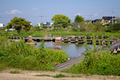 介良川親水公園　IMGP1088
