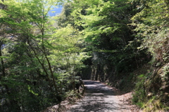 人混みを避けて　遊歩道