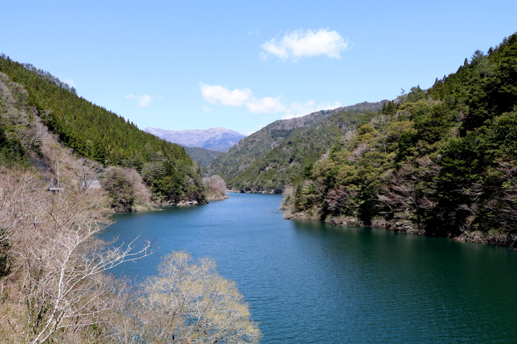 仁淀川