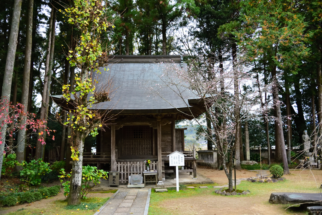 国分寺