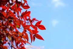 散歩中の
