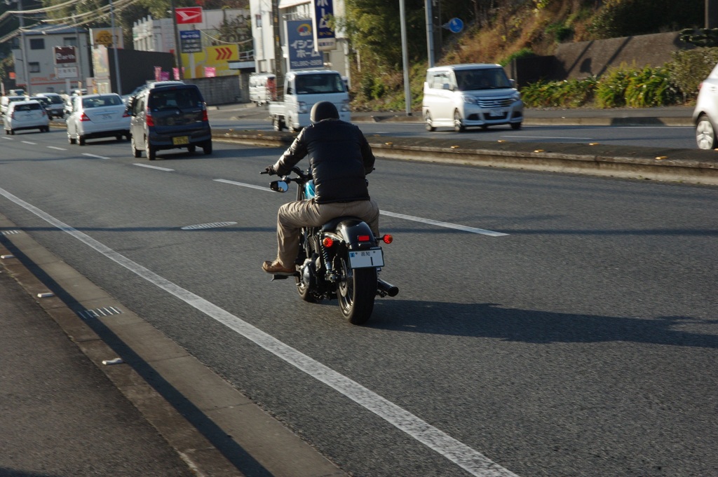 散歩中の