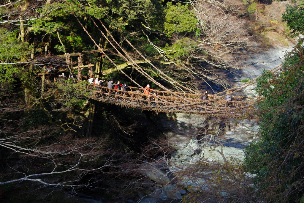 祖谷　かずら橋