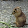 のいち動物公園