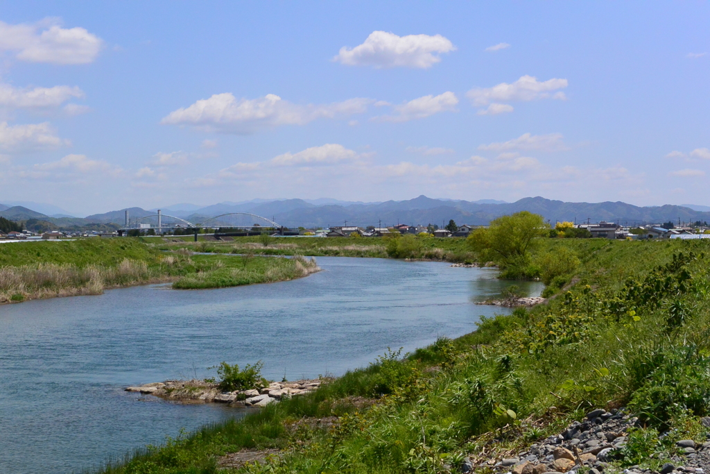 国分川　DSC_2040