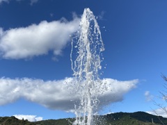 モネの庭