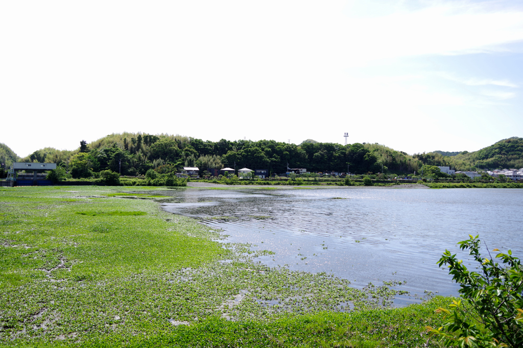 石土池の周辺