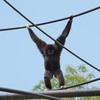 のいち動物公園