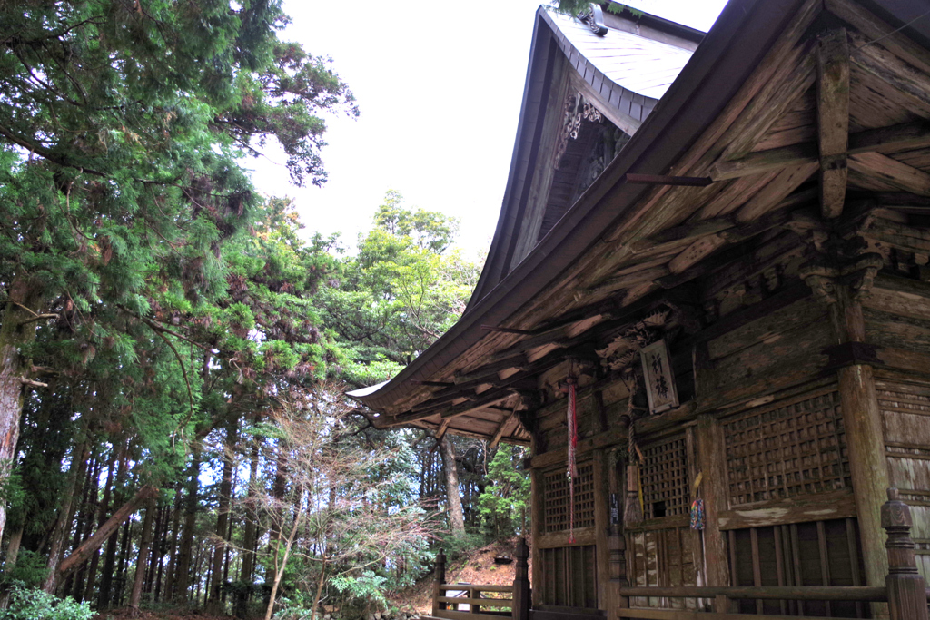 長谷寺