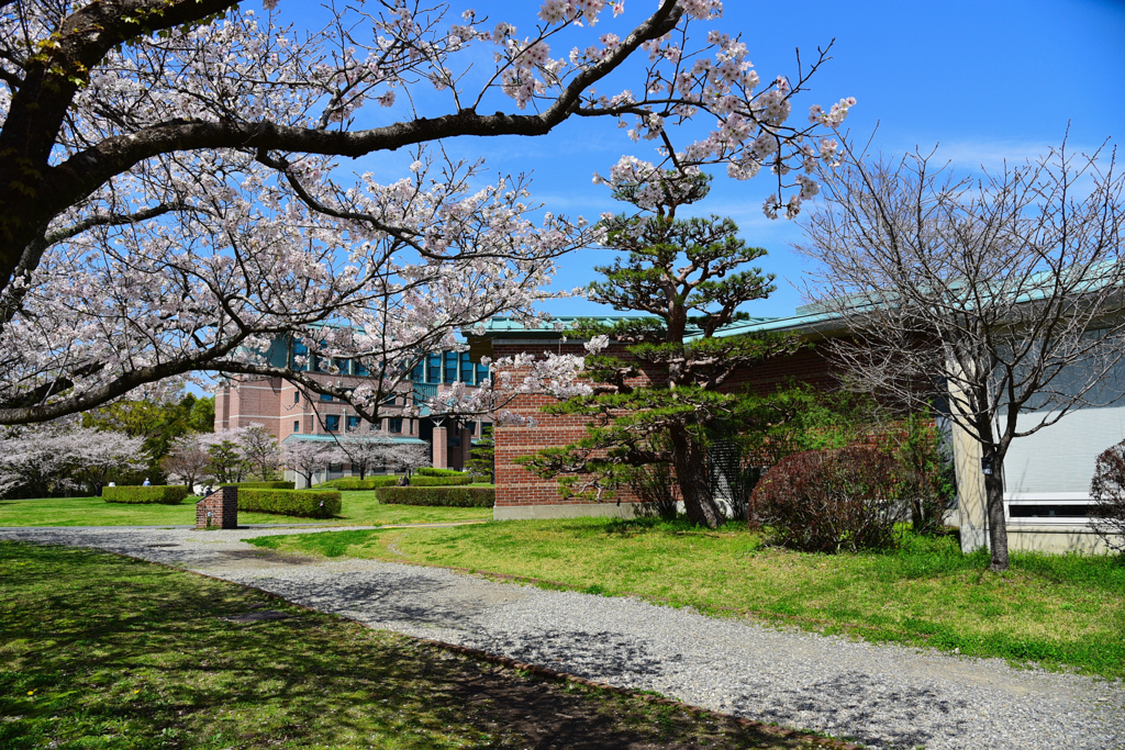 高知工科大学