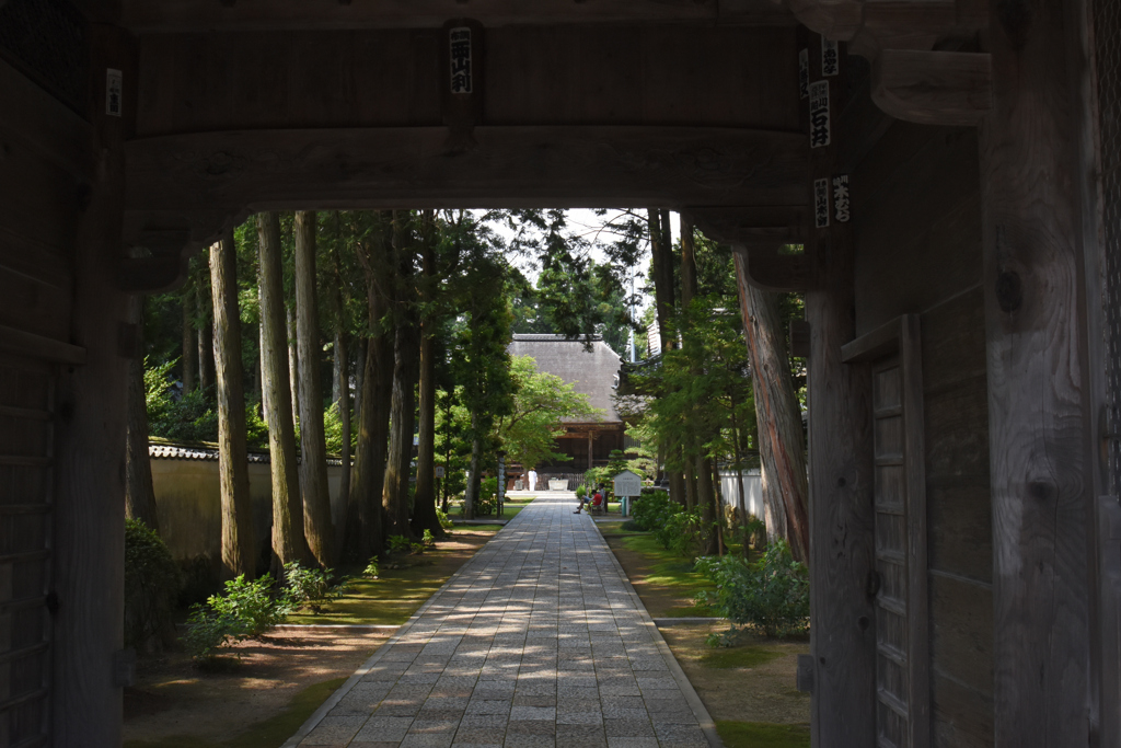 国分寺