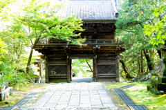 竹林寺