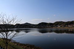散歩中