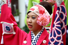 踊り子さん