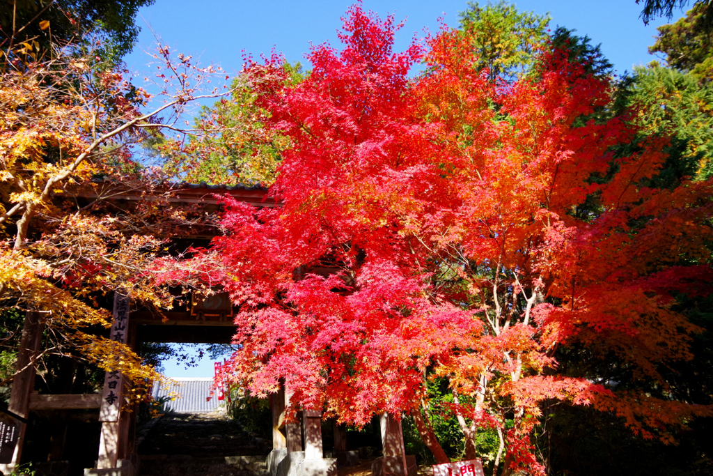 大日寺
