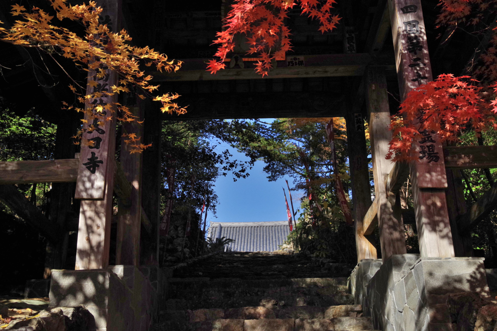 大日寺