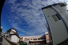 散歩中の　雲