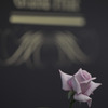 一輪の薔薇