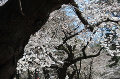 静けさ