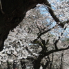 静けさ