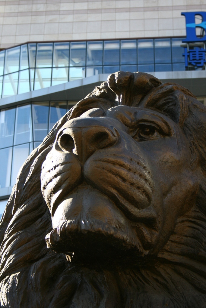 獅子の顔
