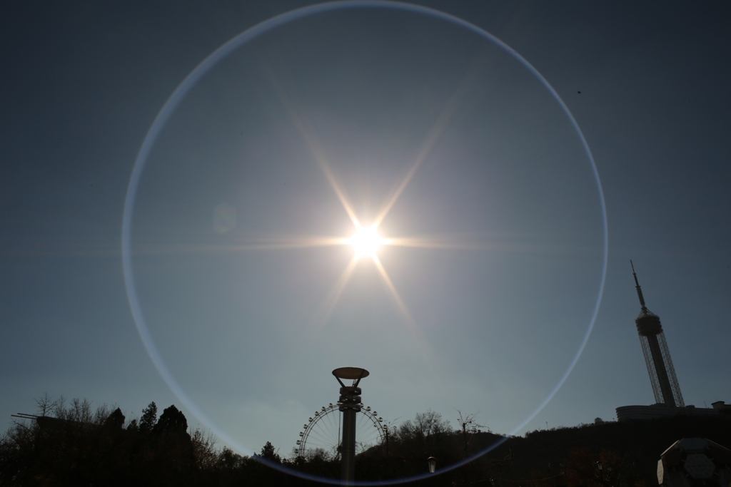 太陽・・・1