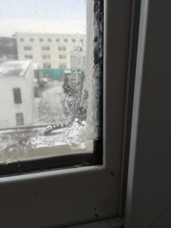凍る窓ガラス