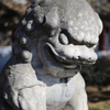 「狛犬」