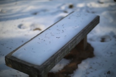 雪の残るベンチ