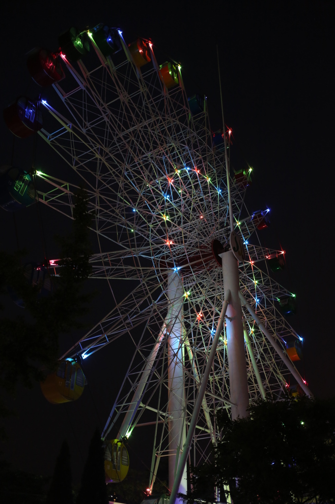 夜の観覧車