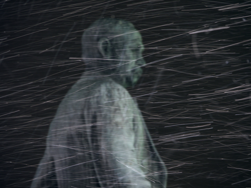 吹雪に立ち向かう像