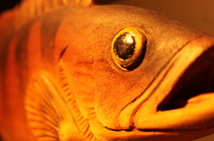 ぎょ魚ギョ！！