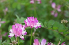 木曽川水園のひとこま