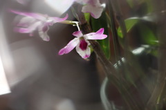 透明DVDレンズフィルター