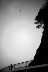 _DSC0481_DxO_DxO