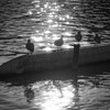 _DSC0143_DxO_DxO